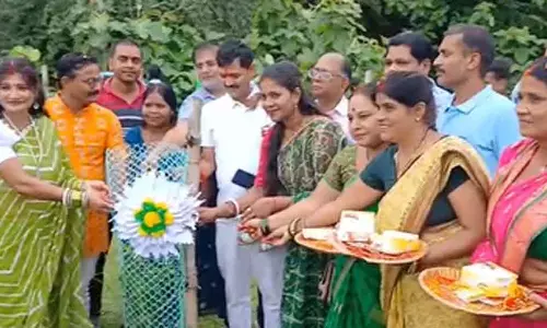 अनोखी पहल, महिलाओं ने पेड़ों को बांधी राखी अनोखी पहल, महिलाओं ने पेड़ों को बांधी राखी