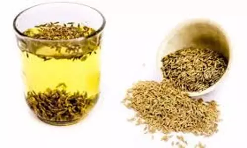 Health: जीरे और सौंफ के पानी से मिनटों में कम करें पेट की चर्बी Health: जीरे और सौंफ के पानी से मिनटों में कम करें पेट की चर्बी