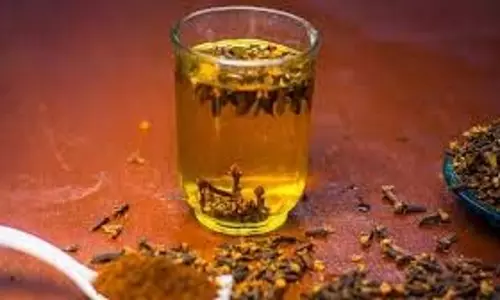 Health: पेट से लेकर त्वचा तक, लौंग का पानी पीने के हैं इतने सारे फायदे Health: पेट से लेकर त्वचा तक, लौंग का पानी पीने के हैं इतने सारे फायदे