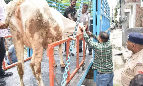 Karnal में अवैध डेयरियों पर कार्रवाई, चार सील, 50 हजार रुपये का जुर्माना Karnal में अवैध डेयरियों पर कार्रवाई, चार सील, 50 हजार रुपये का जुर्माना