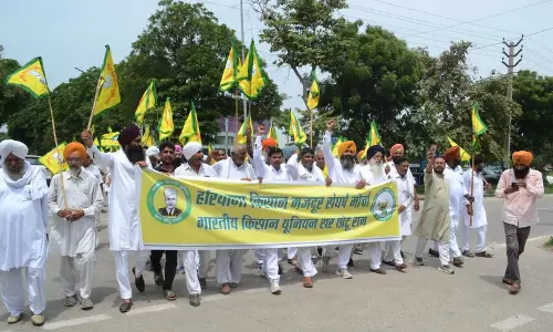 धान की फसल में वायरस से हुए नुकसान के लिए किसानों ने प्रति एकड़ 60 हजार रुपये की राहत की मांग