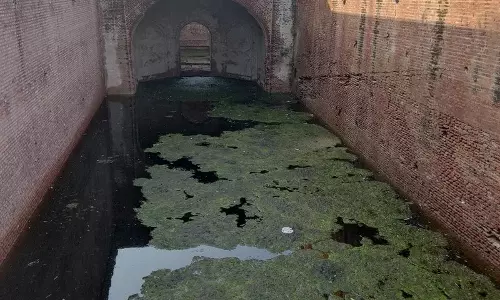 Haryana : शाहजहाँ की बावड़ी पर इतिहास सूख जाता है Haryana : शाहजहाँ की बावड़ी पर इतिहास सूख जाता है