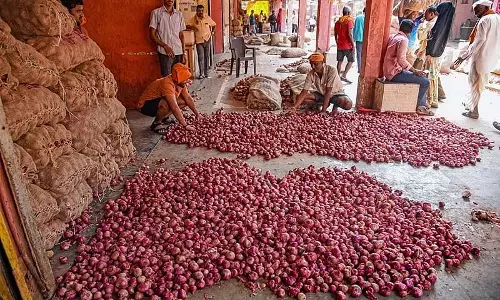 Nashik : सौर ऊर्जा से चलने वाला कोल्ड स्टोरेज प्याज किसानों के लिए नई उम्मीद लेकर आया है Nashik : सौर ऊर्जा से चलने वाला कोल्ड स्टोरेज प्याज किसानों के लिए नई उम्मीद लेकर आया है