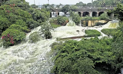 सिंगूर बांध का जल भंडारण 20 TMCFT तक सीमित रहेगा