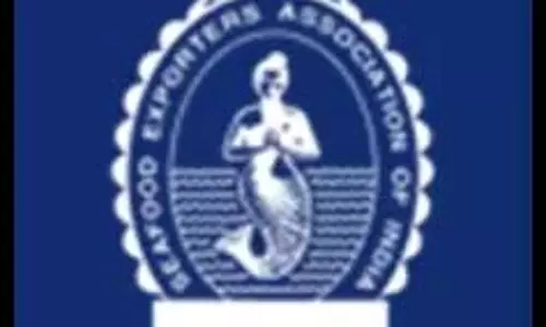 AP: समुद्री खाद्य निर्यातक वैकल्पिक बाज़ार मिलने तक सरकार से मदद की गुहार लगा रहे AP: समुद्री खाद्य निर्यातक वैकल्पिक बाज़ार मिलने तक सरकार से मदद की गुहार लगा रहे