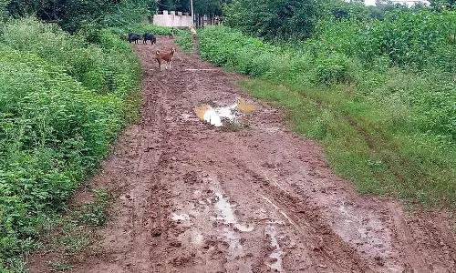 गंदी सड़क पर यात्रा उत्पीड़न: छात्रों ने छात्रावास तक सड़क निर्माण की मांग की