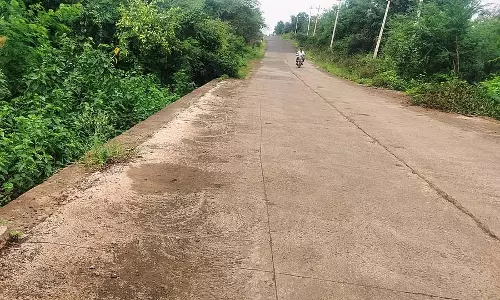 बिना रेलिंग वाला पुल: यातायात में भय