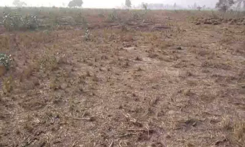 भूमि पूलिंग नीति के खिलाफ Phillaur में विरोध मार्च