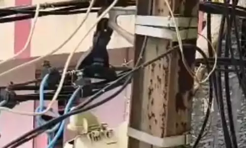 रिटायर्ड कर्मचारी बिजली चोरी करते पकड़ाया, 6 लाख रुपए जुर्माना भरना पड़ेगा