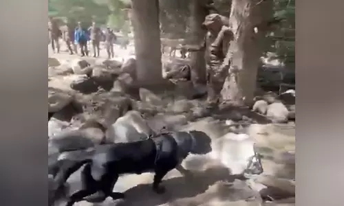 Uttarkashi में तलाशी अभियान के लिए भारतीय सेना की श्वान टीमें तैनात Uttarkashi में तलाशी अभियान के लिए भारतीय सेना की श्वान टीमें तैनात