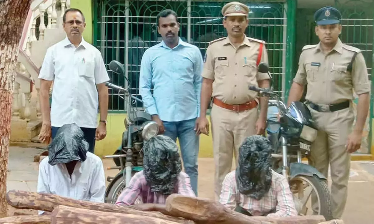 Andhra: तीन तस्कर गिरफ्तार, 24 लाल चंदन की लकड़ियां जब्त