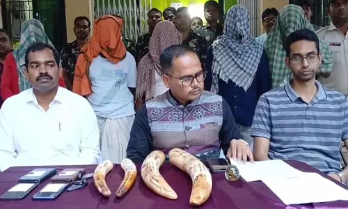 Keonjhar में चार हाथी दांत जब्त, पांच गिरफ्तार