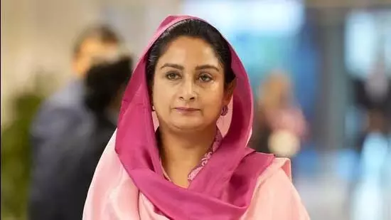 हरसिमरत का कहना है कि बिक्रम मजीठिया की गिरफ्तारी बदले की कार्रवाई है हरसिमरत का कहना है कि बिक्रम मजीठिया की गिरफ्तारी बदले की कार्रवाई है