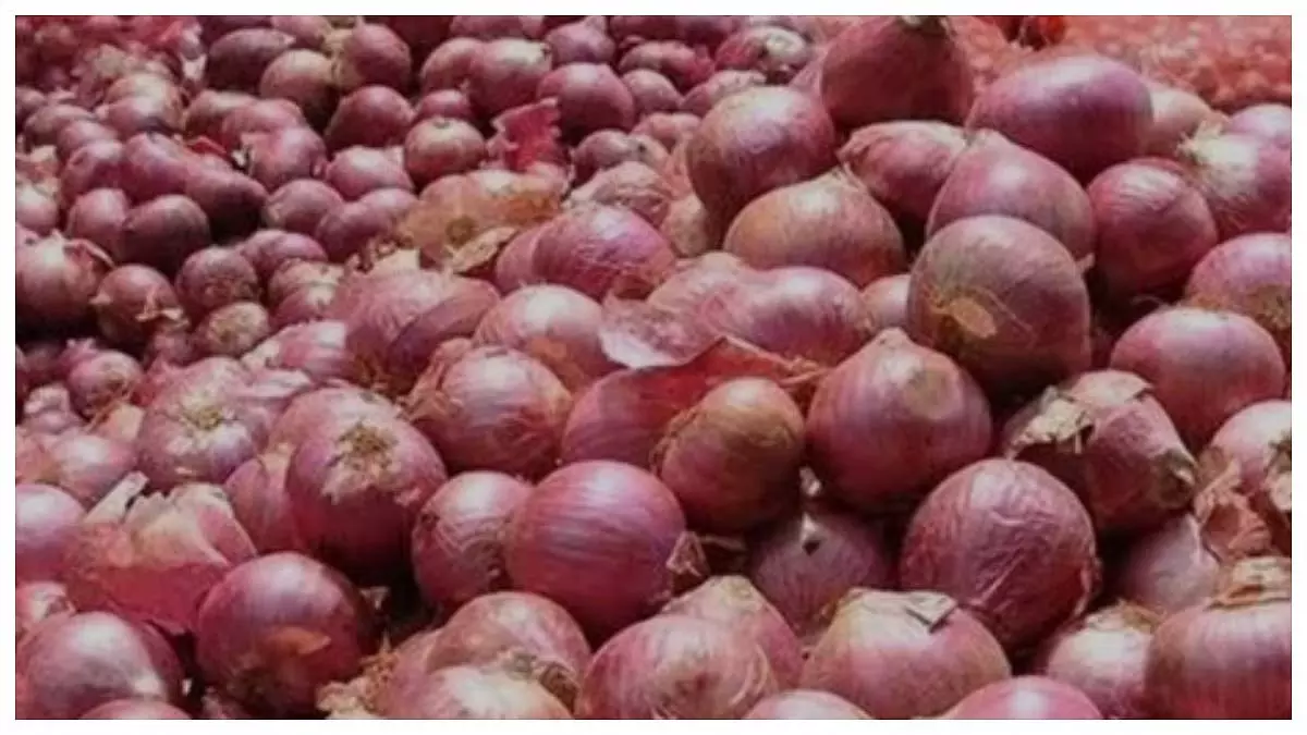 प्याज पर राहत सितंबर से 3 लाख टन बफर स्टॉक जारी करेगा केंद्र प्याज पर राहत सितंबर से 3 लाख टन बफर स्टॉक जारी करेगा केंद्र