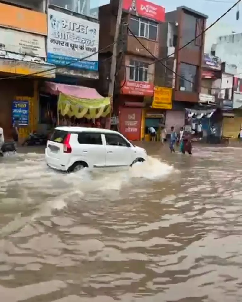 सीजन की पहली बारिश ने एमसी के बड़े दावों पर पानी फेर दिया सीजन की पहली बारिश ने एमसी के बड़े दावों पर पानी फेर दिया