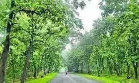 Kawal वन भूमि पर अतिक्रमण करने के आरोप में 35 ग्रामीणों पर मामला दर्ज Kawal वन भूमि पर अतिक्रमण करने के आरोप में 35 ग्रामीणों पर मामला दर्ज