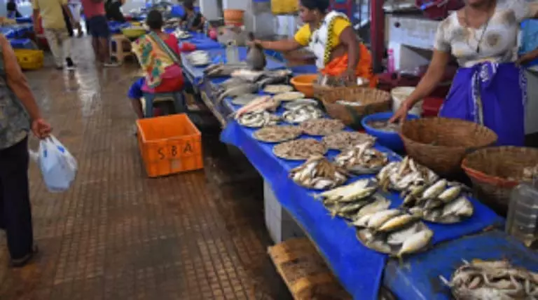 GOA: मॉडल-फतोर्दा में अवैध मछली बाज़ार से जन स्वास्थ्य और यातायात संबंधी चिंताएँ पैदा हुई GOA: मॉडल-फतोर्दा में अवैध मछली बाज़ार से जन स्वास्थ्य और यातायात संबंधी चिंताएँ पैदा हुई