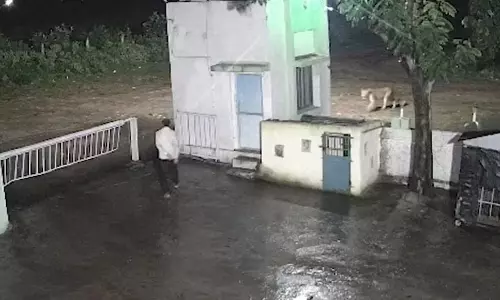 शेर और आदमी जब एक-दूसरे को देखकर भागे, वीडियो वायरल शेर और आदमी जब एक-दूसरे को देखकर भागे, वीडियो वायरल