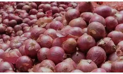 प्याज पर राहत सितंबर से 3 लाख टन बफर स्टॉक जारी करेगा केंद्र प्याज पर राहत सितंबर से 3 लाख टन बफर स्टॉक जारी करेगा केंद्र