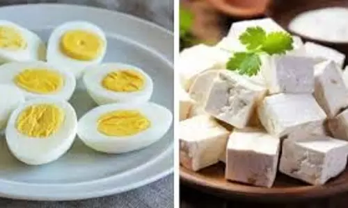 उबले अंडे vs पनीर: जिम वालों के लिए कौन है बेहतर प्रोटीन सोर्स? उबले अंडे vs पनीर: जिम वालों के लिए कौन है बेहतर प्रोटीन सोर्स?