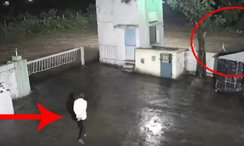 जब जंगल के राजा से हुआ सामना, LIVE वीडियो जब जंगल के राजा से हुआ सामना, LIVE वीडियो