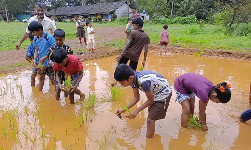 Karnataka : चावल के पीछे किसानों के मेहनती छोटे बच्चे Karnataka : चावल के पीछे किसानों के मेहनती छोटे बच्चे