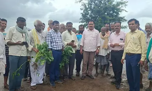 Bailhangla : मानसूनी फसलों के खेतों का दौरा, किसानों को सलाह Bailhangla : मानसूनी फसलों के खेतों का दौरा, किसानों को सलाह