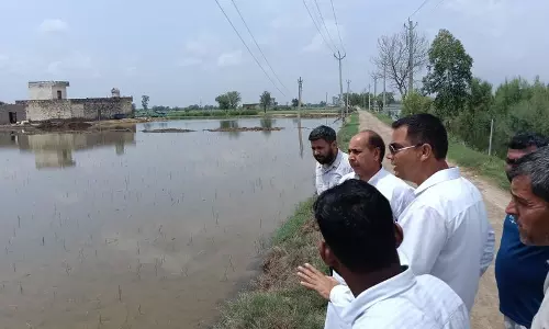 फसल नुकसान के लिए बारिश नहीं, बल्कि खराब जल प्रबंधन जिम्मेदार: विशेषज्ञ
