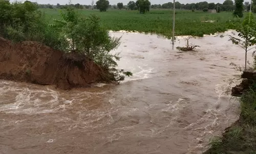 सिरसा नहर टूटने से 20 एकड़ फसल को नुकसान, किसानों ने मुआवजे की मांग की सिरसा नहर टूटने से 20 एकड़ फसल को नुकसान, किसानों ने मुआवजे की मांग की