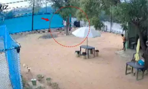 आवारा कुत्ते ने पिता-पुत्र को नोच डाला, CCTV क्लिप से चिंता बढ़ी