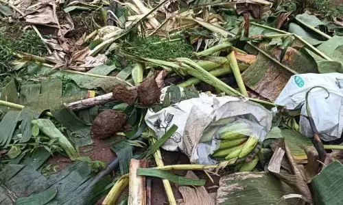 जंगल की आग का भय अभी भी बना हुआ है; दोनों जिलों में फसलें नष्ट