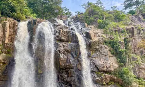 मलेशिया से आए सैलानियों ने की छत्तीसगढ़ के पर्यटन की तारीफ मलेशिया से आए सैलानियों ने की छत्तीसगढ़ के पर्यटन की तारीफ