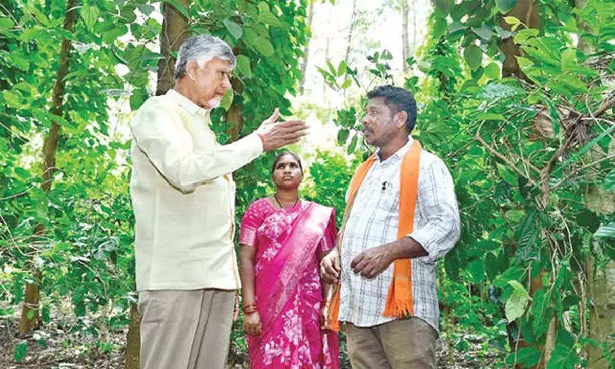 CM: पर्यटन को बढ़ावा देने के लिए गांजा मुक्त एजेंसी पर ध्यान केंद्रित करें CM: पर्यटन को बढ़ावा देने के लिए गांजा मुक्त एजेंसी पर ध्यान केंद्रित करें