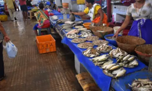 GOA: मॉडल-फतोर्दा में अवैध मछली बाज़ार से जन स्वास्थ्य और यातायात संबंधी चिंताएँ पैदा हुई GOA: मॉडल-फतोर्दा में अवैध मछली बाज़ार से जन स्वास्थ्य और यातायात संबंधी चिंताएँ पैदा हुई