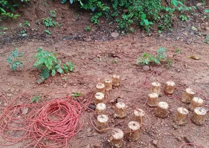 Chaibasa: नक्सलियों के ठिकाने से IED बरामद Chaibasa: नक्सलियों के ठिकाने से IED बरामद