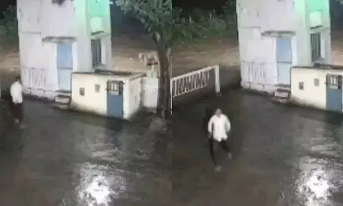 आदमी और शेर का आमना-सामना.. फिर क्या हुआ? आदमी और शेर का आमना-सामना.. फिर क्या हुआ?