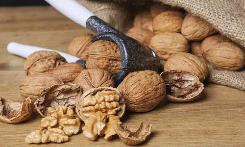 आपको रोज़ाना कितने अखरोट खाने चाहिए? कब खाने चाहिए? इन्हें खाने के क्या फायदे हैं? आपको रोज़ाना कितने अखरोट खाने चाहिए? कब खाने चाहिए? इन्हें खाने के क्या फायदे हैं?