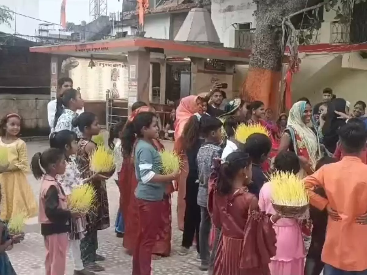 Hamirpur: कजलियां उत्सव की रौनक फीकी, अस्तित्व पर मंडरा रहा खतरा Hamirpur: कजलियां उत्सव की रौनक फीकी, अस्तित्व पर मंडरा रहा खतरा