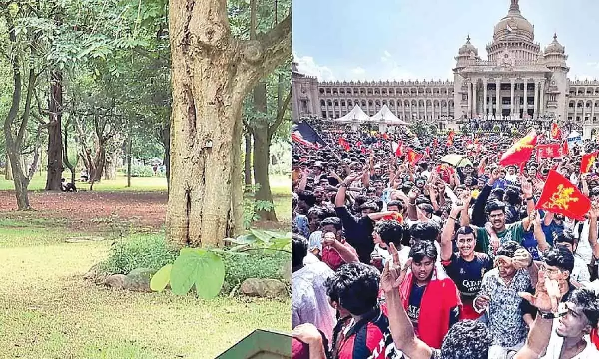 Cubbon Park एसोसिएशन ने हर्जाने के लिए हाईकोर्ट का रुख किया Cubbon Park एसोसिएशन ने हर्जाने के लिए हाईकोर्ट का रुख किया