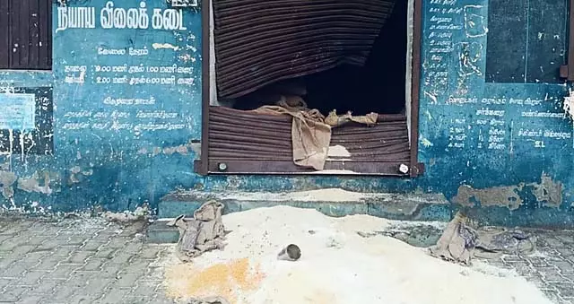 Coimbatore में जंगली हाथी ने राशन की दुकान तोड़ी Coimbatore में जंगली हाथी ने राशन की दुकान तोड़ी