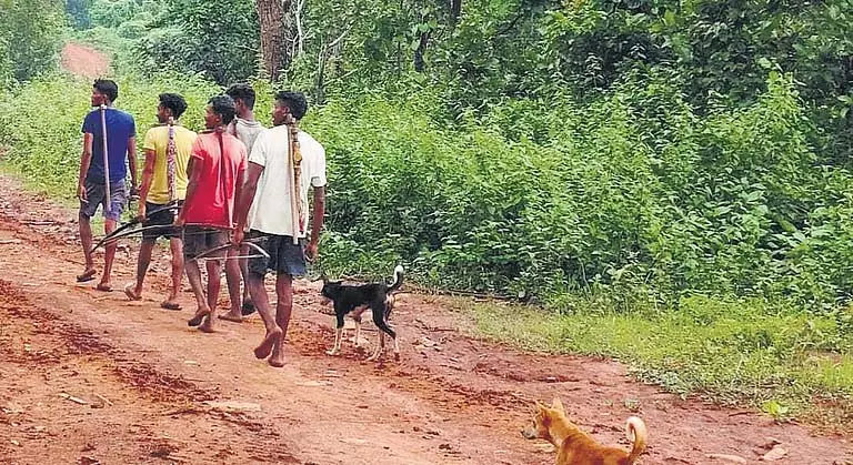 Odisha के नक्सल प्रभावित तुलसी गांव में स्थानीय लोगों के लिए सड़क नहीं Odisha के नक्सल प्रभावित तुलसी गांव में स्थानीय लोगों के लिए सड़क नहीं
