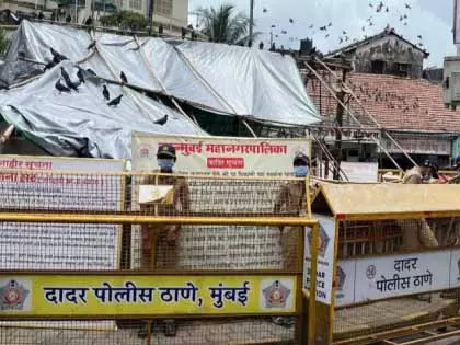 बीएमसी ने दादर कबूतर-दाना स्थल को फिर से कवर किया, सुरक्षा कड़ी बीएमसी ने दादर कबूतर-दाना स्थल को फिर से कवर किया, सुरक्षा कड़ी