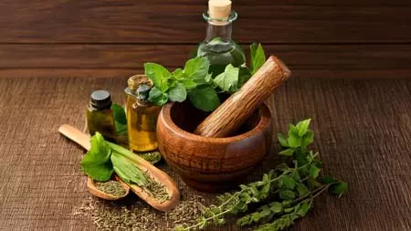 वर्षा ऋतु के अंतिम चरण में बढ़ रहे स्वास्थ्य जोखिम, आयुर्वेदिक उपायों से पाएं राहत वर्षा ऋतु के अंतिम चरण में बढ़ रहे स्वास्थ्य जोखिम, आयुर्वेदिक उपायों से पाएं राहत