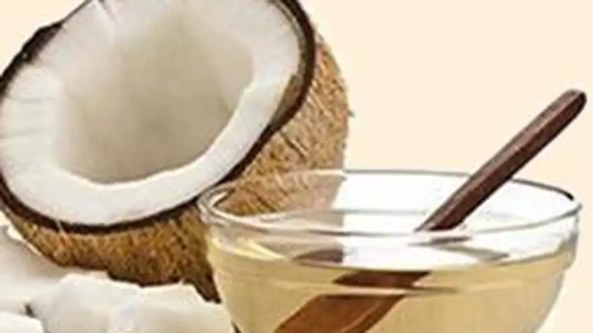 Kerala : सप्लाईको ओणम बाजार के लिए 55 लाख लीटर नारियल तेल खरीदेगा Kerala : सप्लाईको ओणम बाजार के लिए 55 लाख लीटर नारियल तेल खरीदेगा