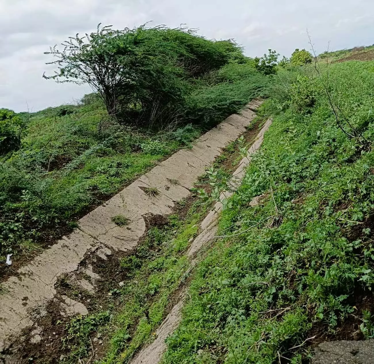 Afzalpur : करोड़ों रुपये खर्च होने के बावजूद किसानों की जमीन तक पानी नहीं पहुंचा Afzalpur : करोड़ों रुपये खर्च होने के बावजूद किसानों की जमीन तक पानी नहीं पहुंचा