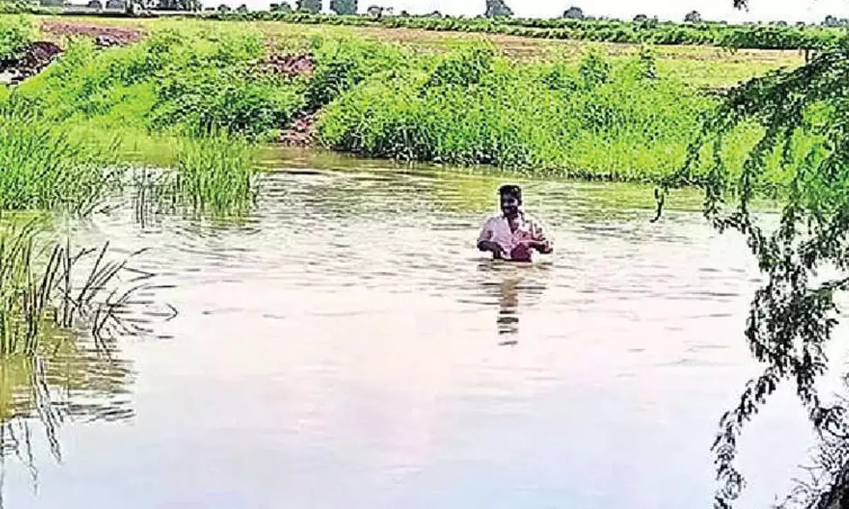 Andhra: किसानों ने कोर्रा वागु पर पुल की मांग की Andhra: किसानों ने कोर्रा वागु पर पुल की मांग की
