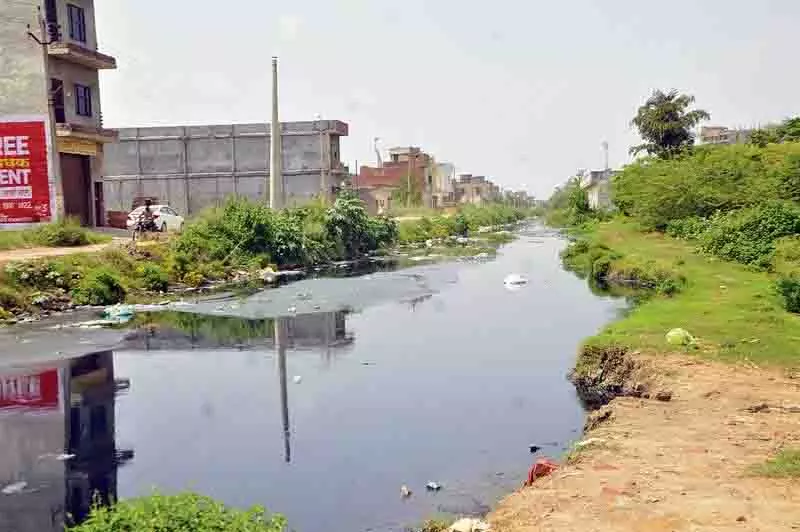 तुंग ढाब नाला कैसे Amritsar के निवासियों के लिए अभिशाप बन गया तुंग ढाब नाला कैसे Amritsar के निवासियों के लिए अभिशाप बन गया