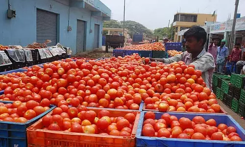 Chennai: टमाटर की कीमतों में बढ़ोतरी जारी Chennai: टमाटर की कीमतों में बढ़ोतरी जारी