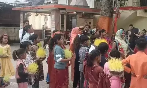 Hamirpur: कजलियां उत्सव की रौनक फीकी, अस्तित्व पर मंडरा रहा खतरा Hamirpur: कजलियां उत्सव की रौनक फीकी, अस्तित्व पर मंडरा रहा खतरा