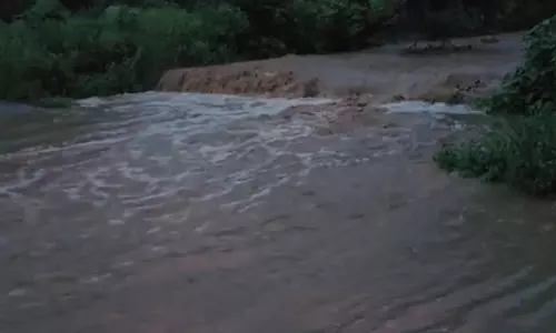 उत्तराखंड: रामनगर में मूसलाधार बारिश से जनजीवन ठप, उफान पर नदी-नाले, प्रशासन अलर्ट उत्तराखंड: रामनगर में मूसलाधार बारिश से जनजीवन ठप, उफान पर नदी-नाले, प्रशासन अलर्ट